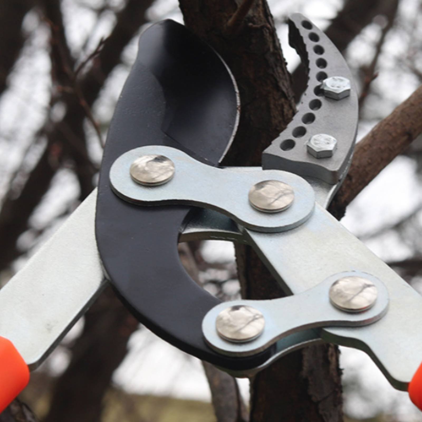 Gardening Tools Of - Forbici Telescopiche per Potatura con Lama