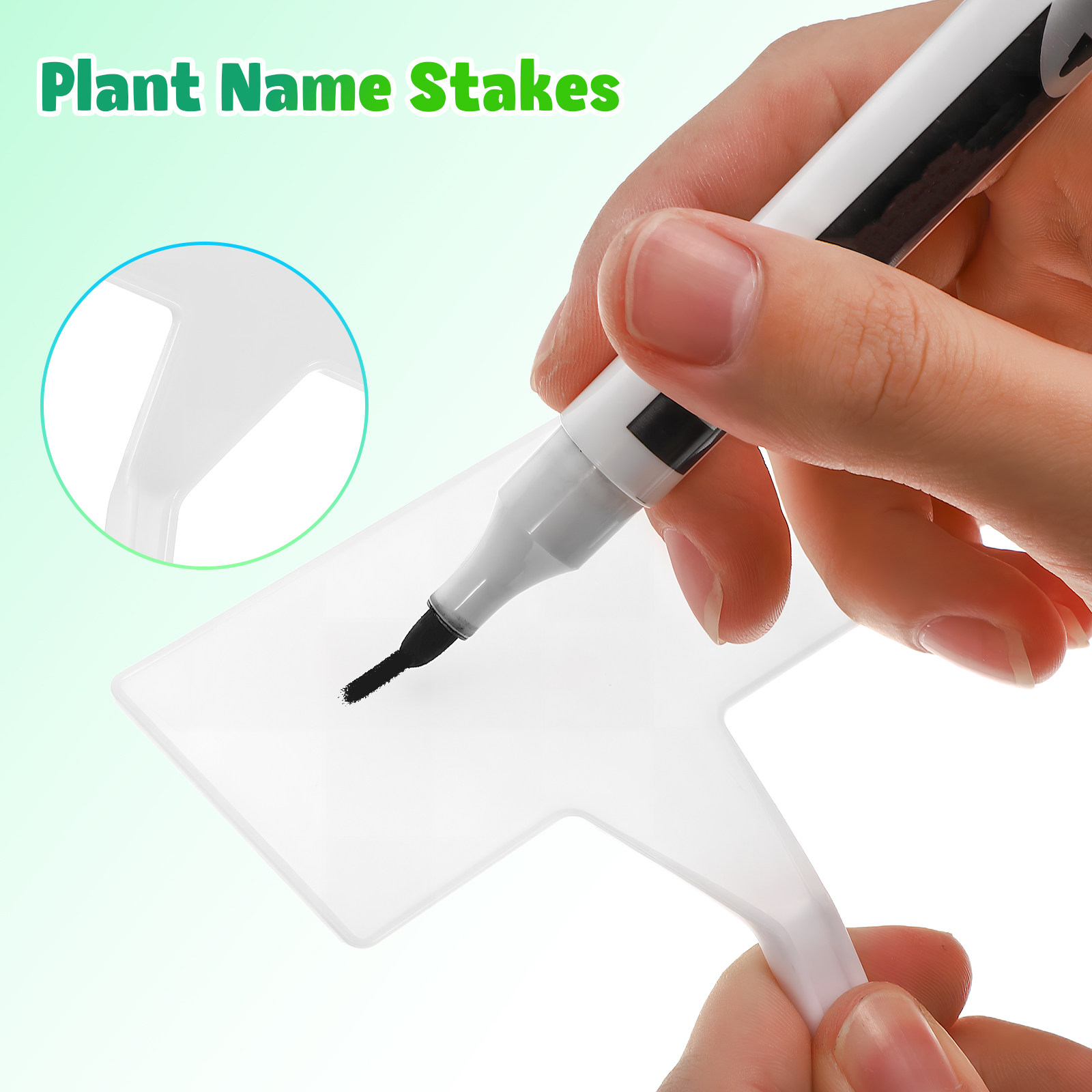 Gardening Tools With Names - 35 Etichette per Piante, Targhette in
