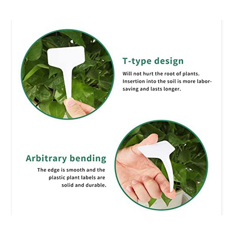 Gardening Tools With Names - Etichette per piante RANA 300 pezzi