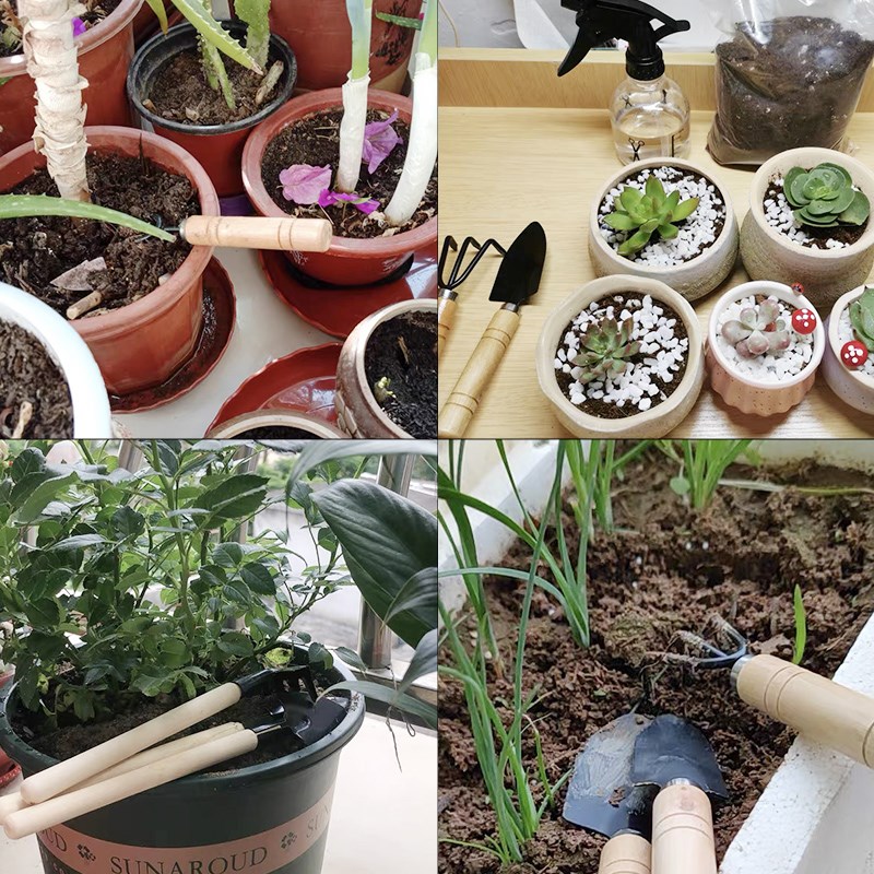 Set di 3 mini attrezzi da giar - Gardening Tools Rake recensione e prezzo