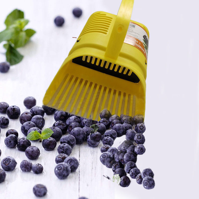 Attrezzo da giardinaggio manua - Gardening Tools Rake recensione e prezzo