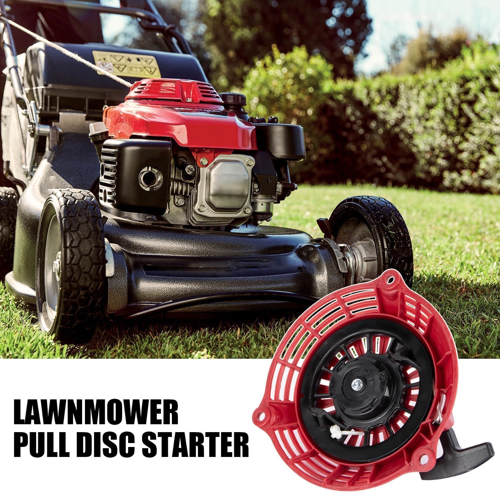Kit Avviamento a Strappo per M - Gardening Tools That Start With H recensione e prezzo