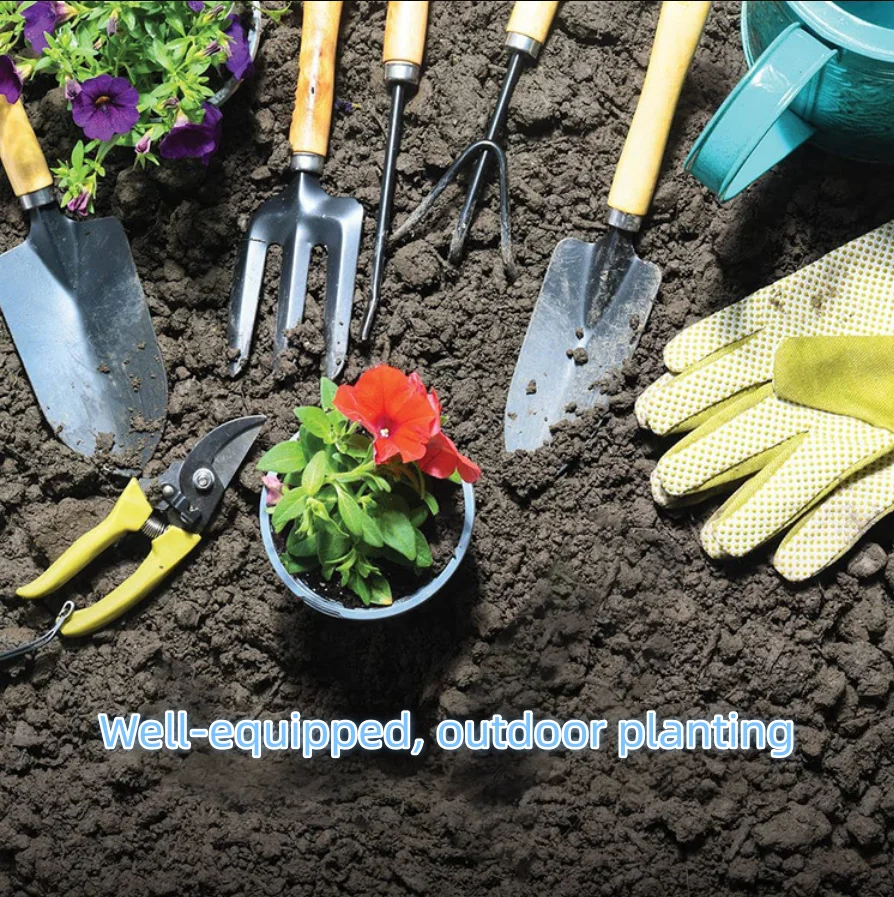 Set di 9 attrezzi da giardinag - Gardening Tools Gloves recensione e prezzo
