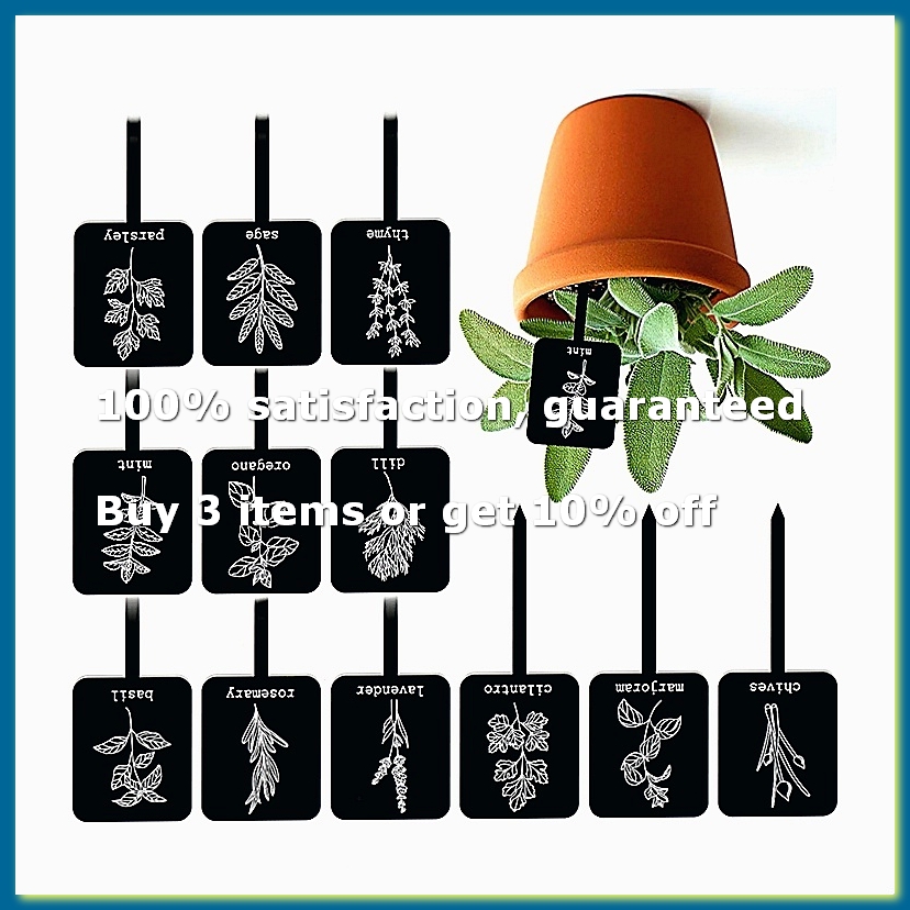 24 Etichette in Acrilico per P - Gardening Tools With Names recensione e prezzo