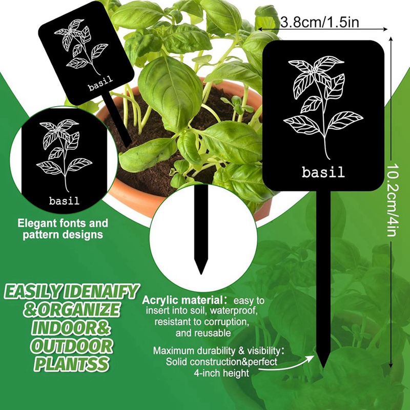 24 Etichette in Acrilico per P - Gardening Tools With Names recensione e prezzo