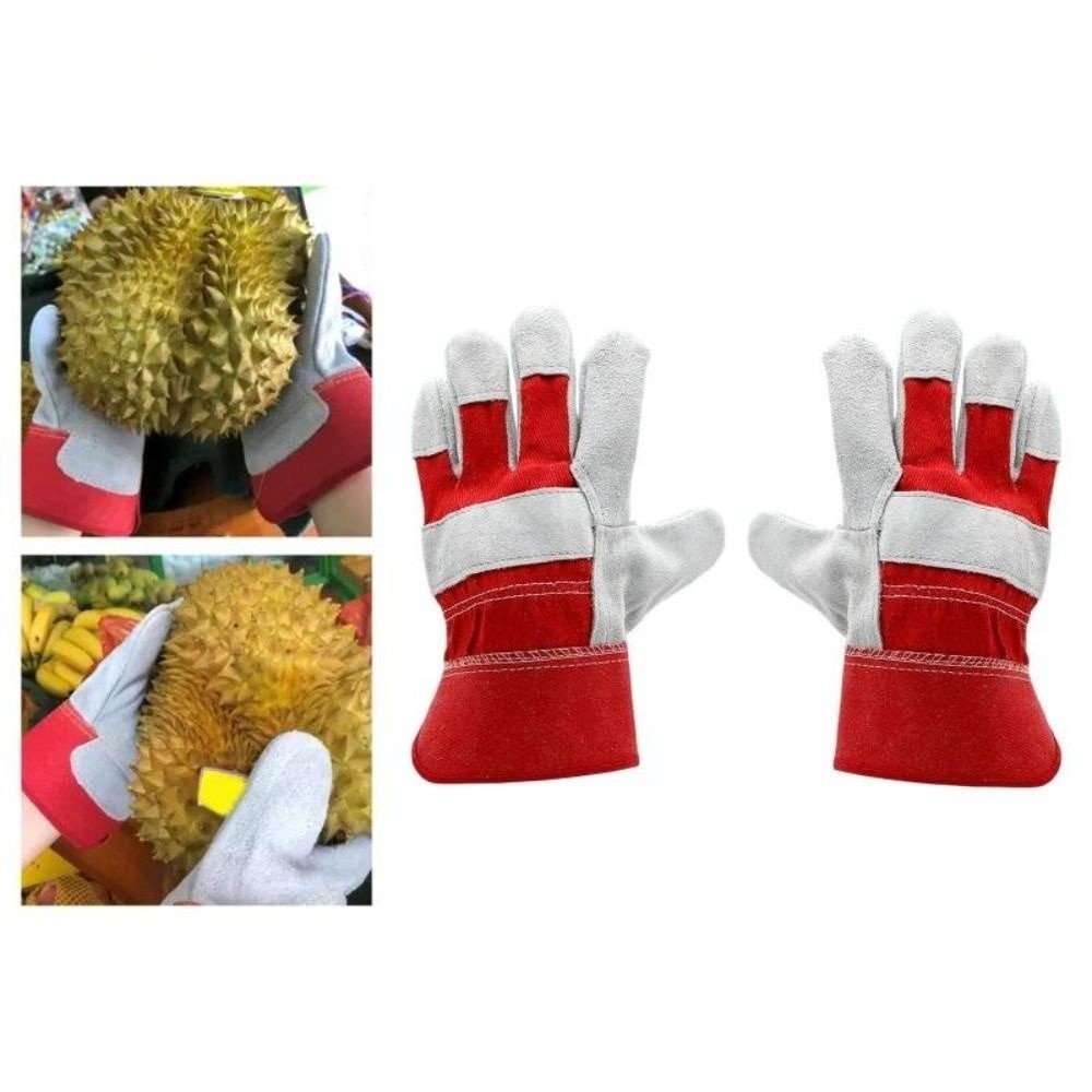 Guanti da Giardinaggio in Pell - Gardening Tools Gloves recensione e prezzo