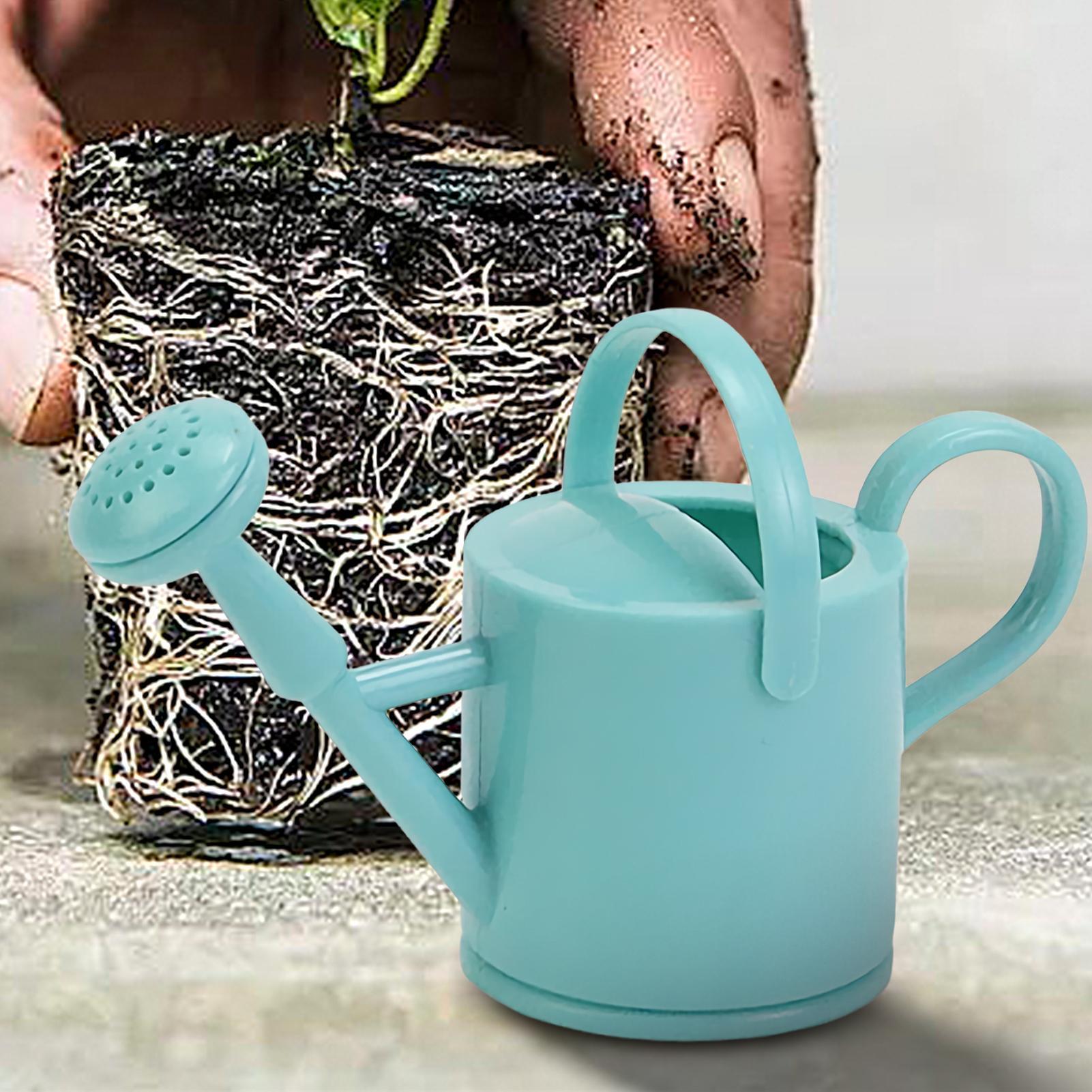 Annaffiatoio Piccolo per Bambi - Gardening Tools Watering Can recensione e prezzo