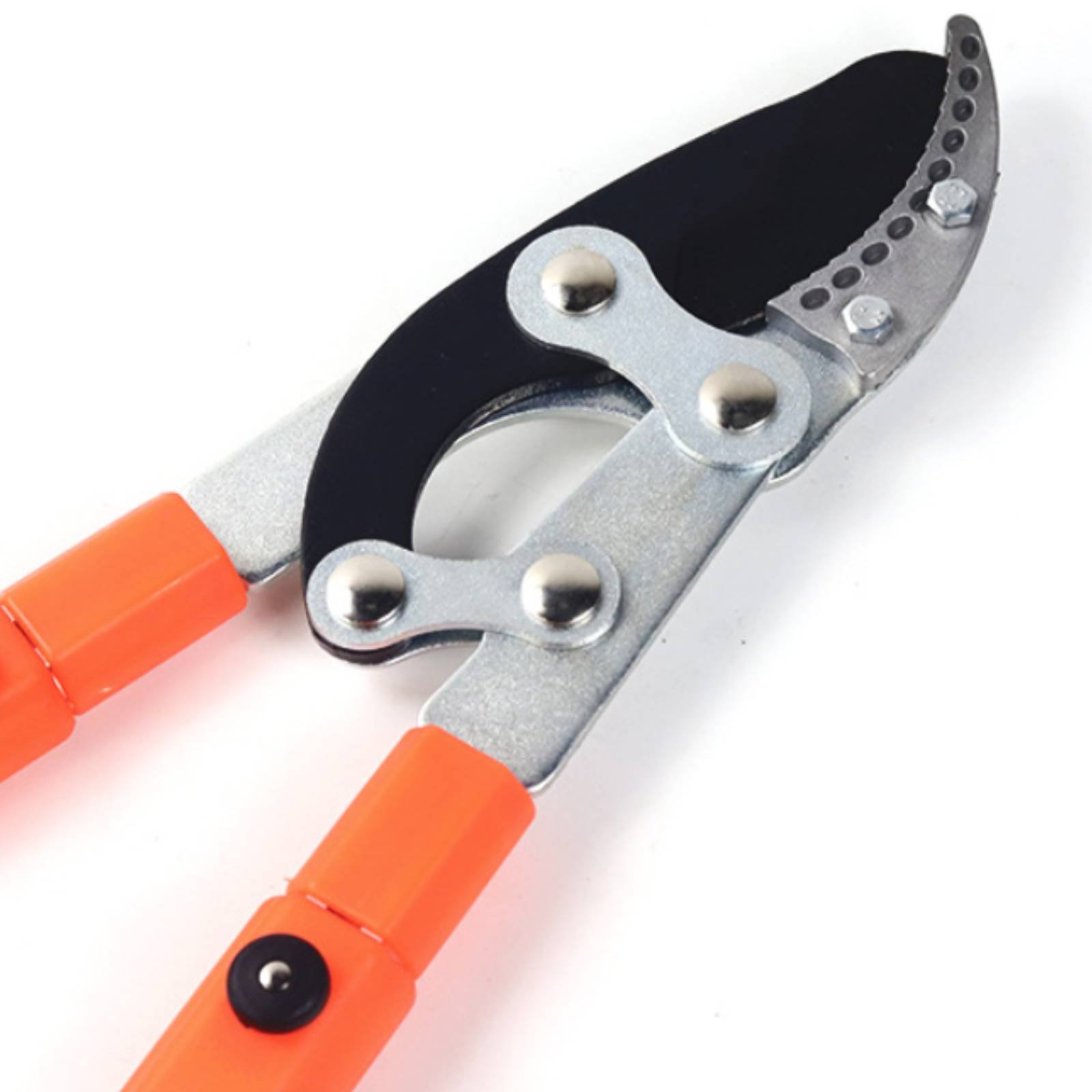 Forbici Telescopiche per Potat - Gardening Tools Of recensione e prezzo