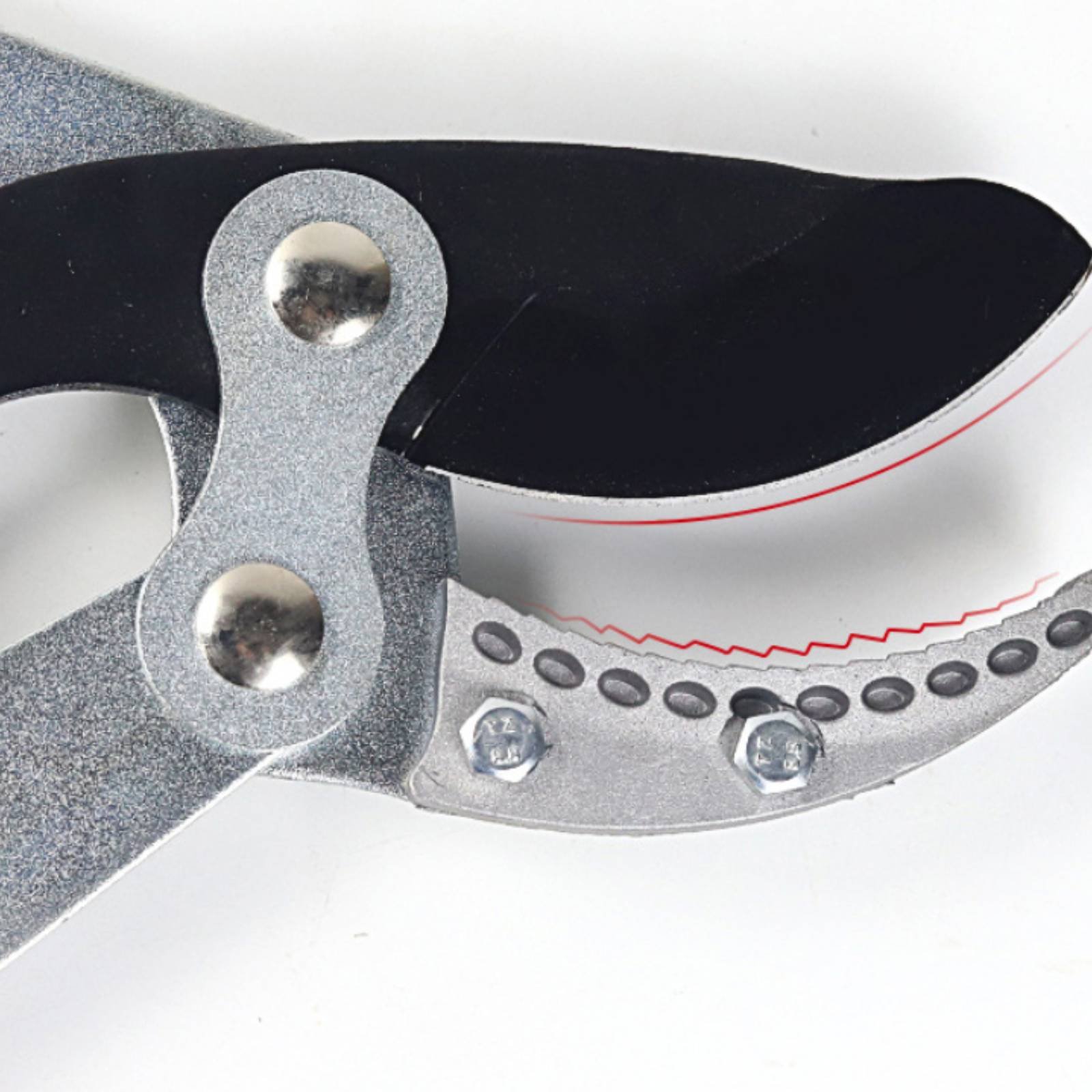 Forbici Telescopiche per Potat - Gardening Tools Of recensione e prezzo