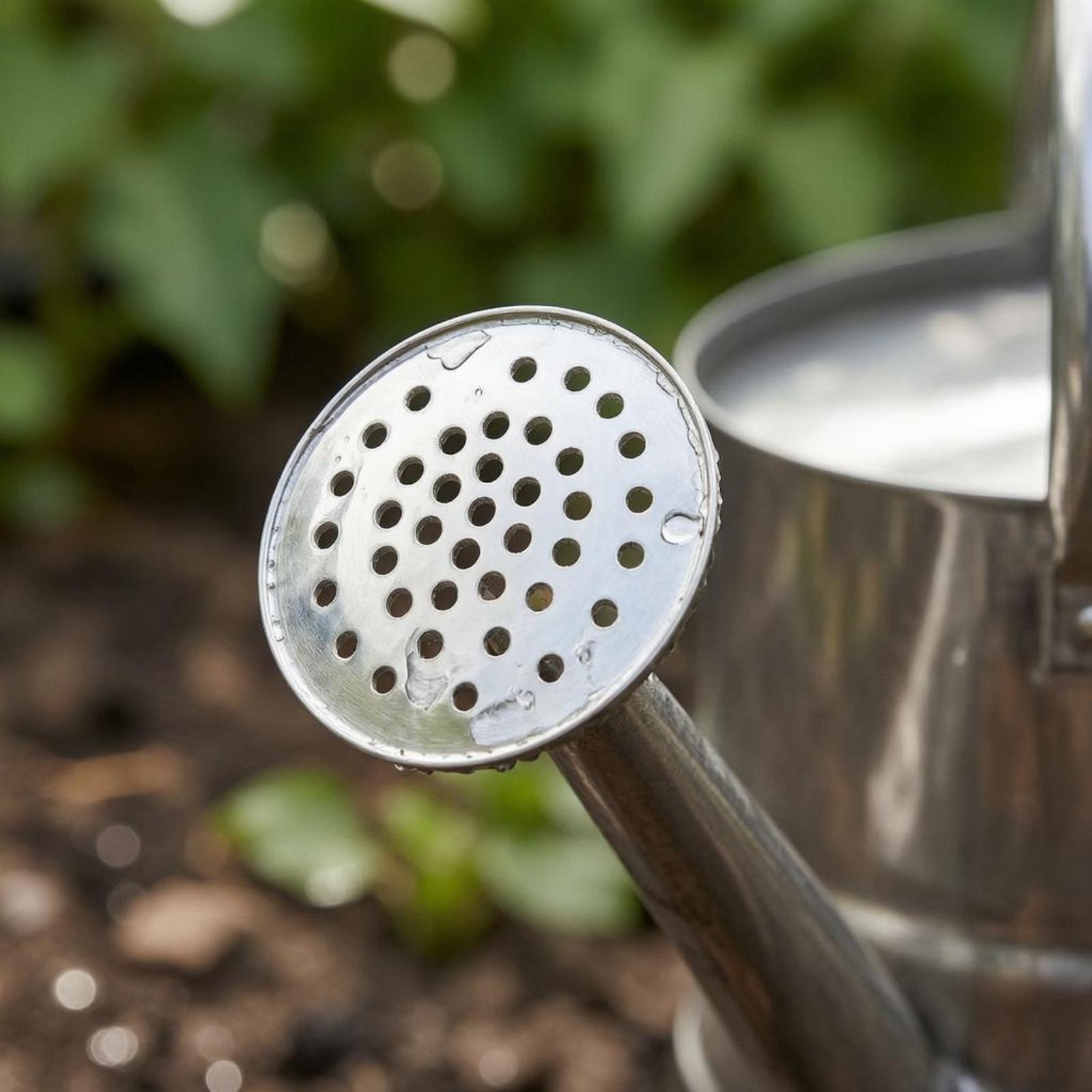 Annaffiatoio da Giardino in Ac - Gardening Tools Watering Can recensione e prezzo