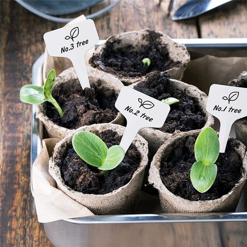 Etichette per piante RANA 300  - Gardening Tools With Names recensione e prezzo