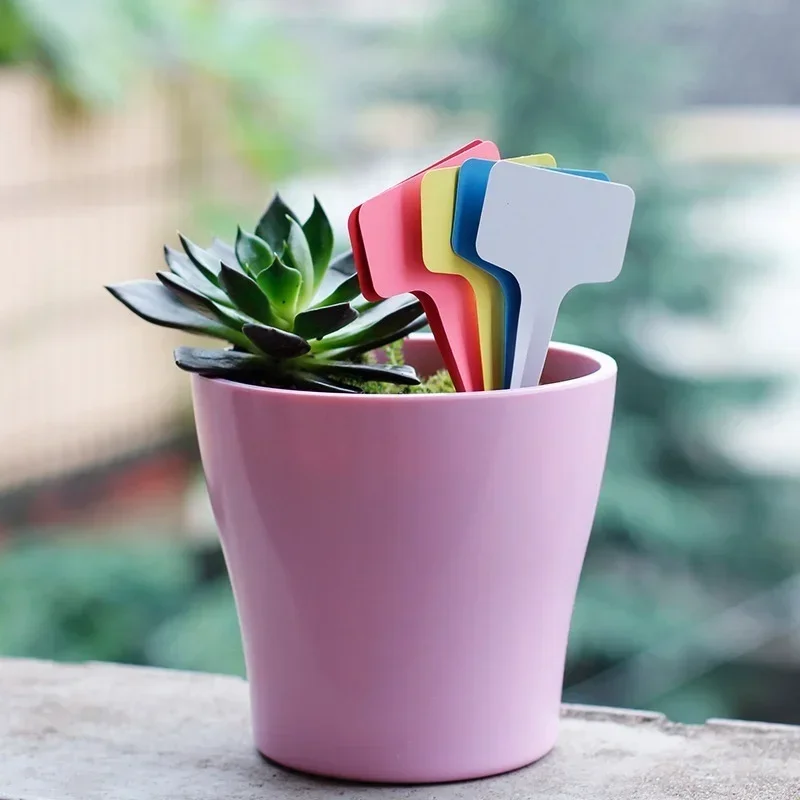Etichette con nome per piante  - Gardening Tools With Names recensione e prezzo
