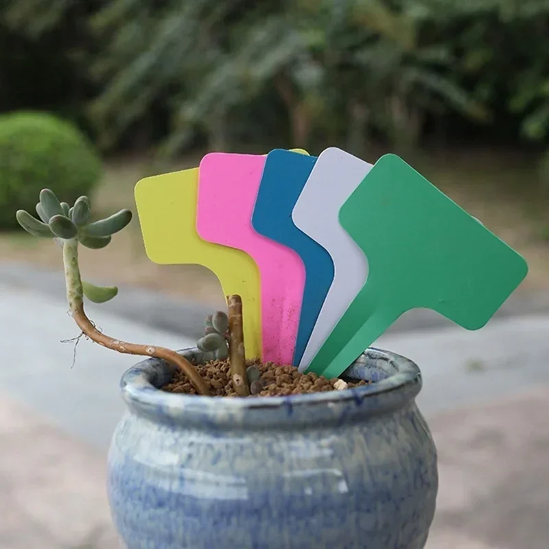 Etichette con nome per piante  - Gardening Tools With Names recensione e prezzo
