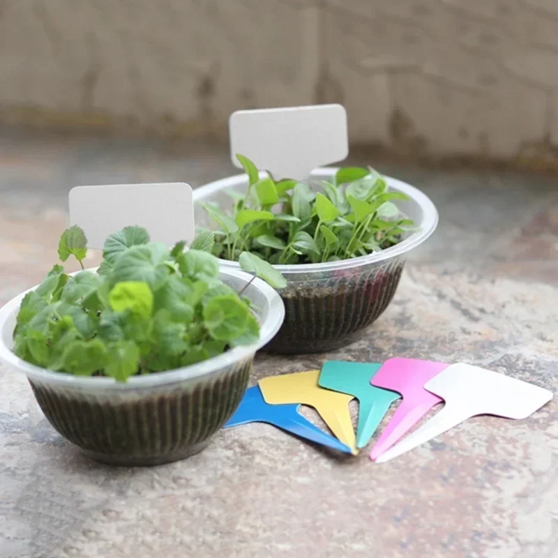 Etichette con nome per piante  - Gardening Tools With Names recensione e prezzo