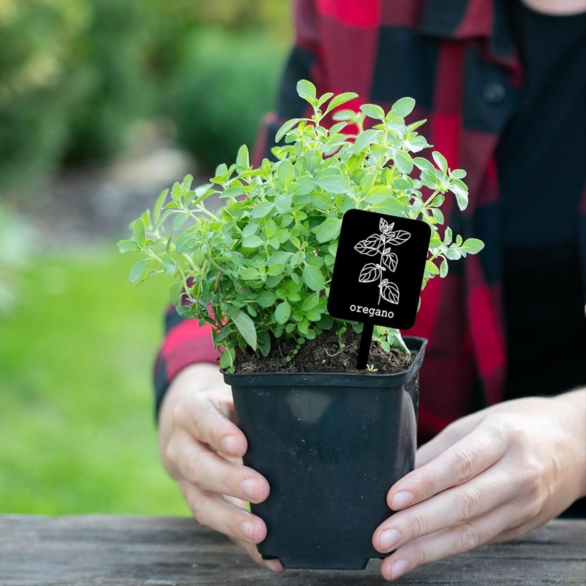 AA14 24 Pezzi Etichette per Pi - Gardening Tools With Names recensione e prezzo