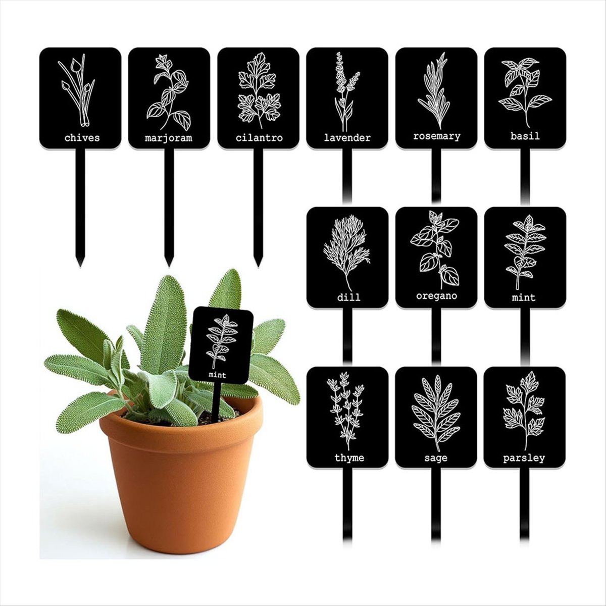 AA14 24 Pezzi Etichette per Pi - Gardening Tools With Names recensione e prezzo