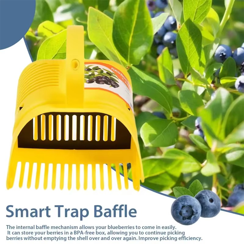 Raccoglitrice di mirtilli Racc - Gardening Tools Rake recensione e prezzo